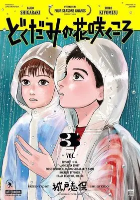 Manga Dokudami no Hana Saku Koro vol.3 (どくだみの花咲くころ(3) (アフタヌーンKC))  / Kido Shiho