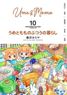 Manga Ume to Momo no Futsuu no Kurashi vol.10 (うめともものふつうの暮らし (10) (バンブーコミックス))  / Fujisawa Kamiya