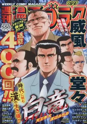 Magazine Manga Goraku (週刊漫画ゴラク (6月27日号 No.2954)) 