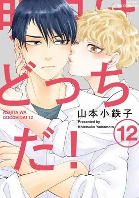 Manga Set Ashita wa Docchi da! (12) (■未完セット)明日はどっちだ! 1～12巻)  / Yamamoto Kotetsuko