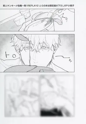 Manga Shirouto Yankee♂Kiki Ippatsu!! vol.2 (【小冊子】素人ヤンキー♂危機一発!! REPLAY(2) とらのあな限定有償特典小冊子)  / 八百