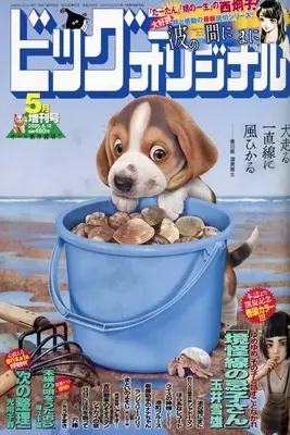 Magazine Big Comic Original (ビッグコミックオリジナル増刊号 2025年5月12日増刊号) 