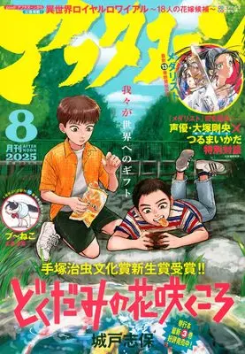 Magazine Afternoon (アフタヌーン (2025年08月号)) 