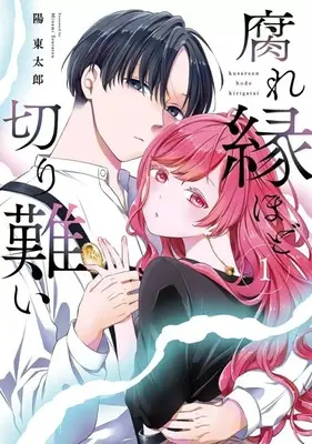 Manga Kusare-en hodo Kirigatai vol.1 (腐れ縁ほど切り難い(1))  / Minami Toutarou