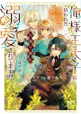 Manga Ore-sama Outaishi ni Hirowareta Gakeppuchi Reijou, Okazari Sokuhi ni Naru... Hazu ga Dekiaisaretemasu! vol.2 (俺様王太子に拾われた崖っぷち令嬢、お飾り側妃になる…はずが溺愛されてます!? 2 (2) (プリンセス・コミックス プチプリ))  / Haba Nero & Misawa Kei