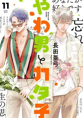 Manga Yawao to Katako vol.11 (やわ男とカタ子　11)  / Nagata Ayumi