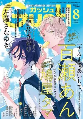 Magazine GUSH (GUSH(ガッシュ) 2025年 08 月号 [雑誌]) 