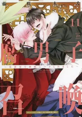 Manga appendix Fudanshi Shoukan vol.11 (【小冊子】腐男子召喚～異世界で神獣にハメられました～(11) コミコミスタジオ限定有償特典小冊子)  / Fujisaki Moe