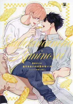 Manga Iki Dekinai no wa Kimi no Sei vol.6 (【小冊子】息できないのは君のせい(6) アニメイト限定セット特典小冊子)  / Sumiya Zeniko