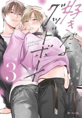 Manga Sukidayo Good Boy vol.3 (好きだよグッドボーイ(3))  / Hanayoshi Napo