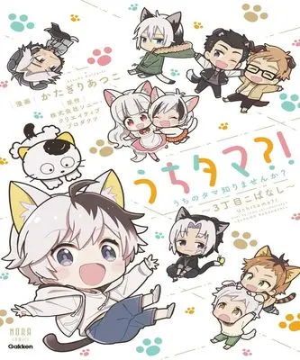 Manga Uchi Tama?! Uchi no Tama Shirimasen ka? - 3-choume Kobanashi - vol.3 (うちタマ?!うちのタマ知りませんか?~3丁目こばなし~)  / Katagiri Atsuko