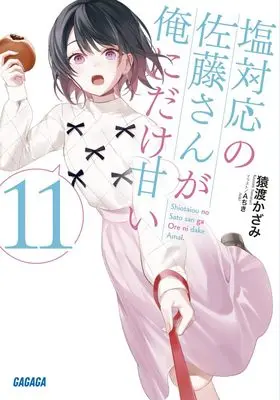 Novel Shiotaiou no Sato-san ga Ore ni dake Amai vol.11 (塩対応の佐藤さんが俺にだけ甘い (11))  / Sawatari Kazami