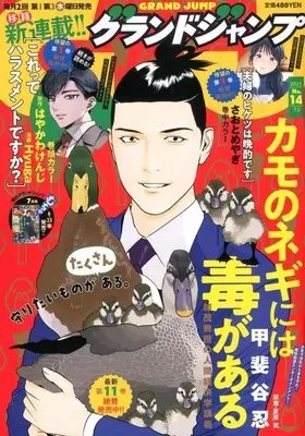 Magazine GRAND JUMP (グランドジャンプ 2025年7月2日号) 