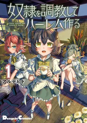 Manga Set Dorei wo Choukyoushite Harem Tsukuru (3) ([全3冊セット]奴隷を調教してハーレム作る『3巻メロン限定版コンプセット』[コミック])  / Alde Hyde