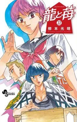 Manga Ryuu to Ichigo vol.22 (龍と苺 (22))  / 小学館