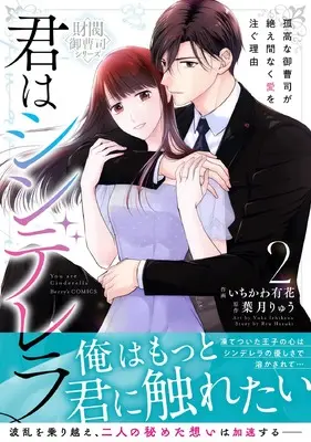 Manga Kimi wa Cinderella - Kokou na Onzoushi ga Taemanaku Ai wo Sosogu Riyuu vol.2 (君はシンデレラ~孤高な御曹司が絶え間なく愛を注ぐ理由~【財閥御曹司シリーズ】 2 (ベリーズコミックス)) 
