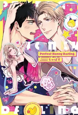 Manga No one's perfect (Perfect Honey Darling (PriaLコミック))  / Chabasu