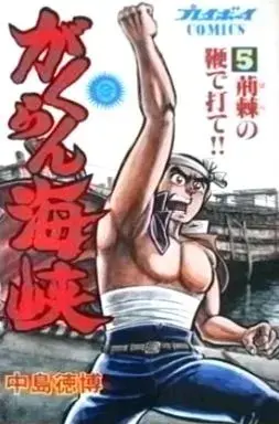 Manga Gakuran Kaikyou vol.5 (がくらん海峡(完)(5))  / Nakajima Norihiro