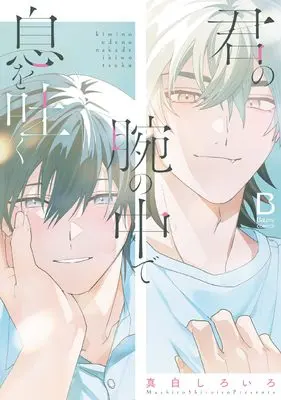 Manga Kimi no Ude no Naka de Iki wo Tsuku (君の腕の中で息を吐く (BaLmyコミックス))  / Shiroiro