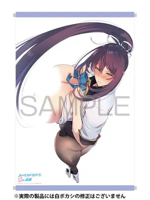 Special Edition Manga with Tapestry Erotical Wizard to 12-nin no Hanayome vol.3 (エロティカル・ウィザードと12人の花嫁 3『B2タペストリー付きメロンブックス限定版』)  / Mahaya & 太陽ひかる & 白津川心太