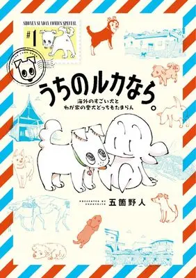 Manga Uchi no Ruka nara. vol.1 (うちのルカなら。 海外のすごい犬とわが家の愛犬どっちもたまらん (1))  / Goka Yajin
