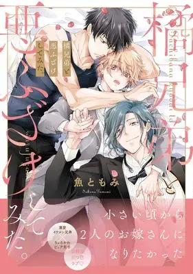 Manga Tachibana Kyoudai to Warufuzake Shite Mita. (橘兄弟と悪ふざけしてみた。)  / Sakana Tomomi