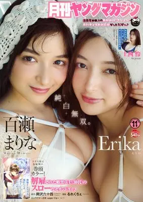 Magazine Young Magazine (増ヤングマガジン (2025年11月06日号)) 