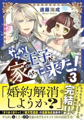 Manga Yarakashi Ouji ga Ie ni Kita! vol.3 (やらかし王子が家に来た! 3)  / Endou Minari