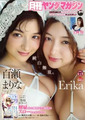 Magazine Monthly Young Magazine (月刊ヤングマガジン 2025年11月号) 