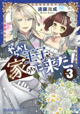 Manga Yarakashi Ouji ga Ie ni Kita! vol.3 (やらかし王子が家に来た!(vol.3))  / Endou Minari