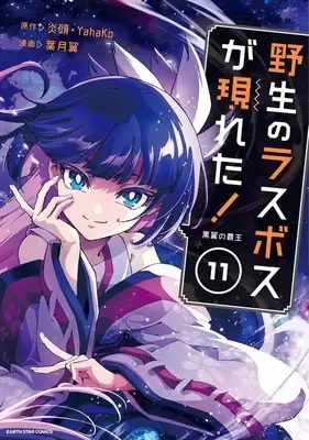 Manga Yasei no Last Boss ga Arawareta!: Kokuyoku no Haou vol.11 (野生のラスボスが現れた!黒翼の覇王(11))  / Haduki Tubasa
