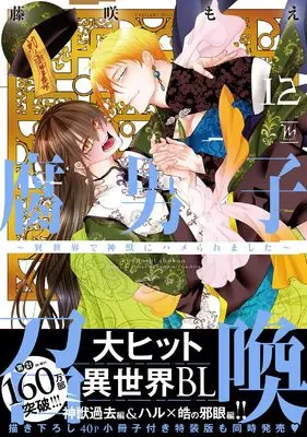 Manga Fudanshi Shoukan vol.12 (腐男子召喚~異世界で神獣にハメられました~ (12))  / Fujisaki Moe