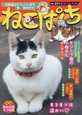 Manga Neko Panch (ねこぱんち まるまり秋ネコ号 (にゃんCOMI))  / Anthology