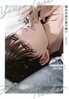 Manga Ore wa Omae no Ai de Itai (【小冊子】俺はお前の愛で痛い コミコミスタジオ限定特典小冊子)  / 南あらた
