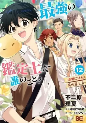 Manga Saikyou no Kanteishi tte Dare no Koto?: Manpuku Gohan de Isekai Seikatsu vol.12 (最強の鑑定士って誰のこと? ～満腹ごはんで異世界生活～(12))  / Fujiwara Rika