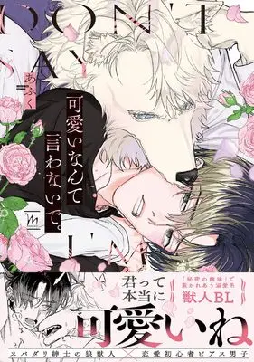 Manga Kawaii Nante Iwanaide (可愛いなんて言わないで。)  / Abuku