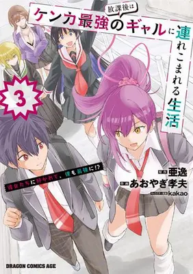 Manga Complete Set Houkago wa Kenka Saikyou no Gal ni Tsurekomareru Seikatsu: Kanojotachi ni Sukarete, Boku mo Saikyou ni!? (Vol.1-3) (放課後はケンカ最強のギャルに連れこまれる生活 彼女たちに好かれて、僕も最強に!?)  / Aoyagi Takao