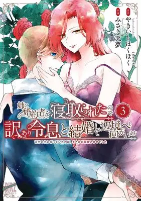 Manga Ane ni Konyakusha wo Netorareta no de Wakeari Reisoku to Kekkon shite Henkyou e to Mukaimasu - Kurou no Saki ni Matteita no wa, Masaka no Dekiai to Shiawase deshita vol.3 (姉に婚約者を寝取られたので訳あり令息と結婚して辺境へと向かいます: ~苦労の先に待っていたのは、まさかの溺愛と幸せでした~ (3) (バーズコミックス))  / Tenmu Misaki & Yakiimo Hokuhoku