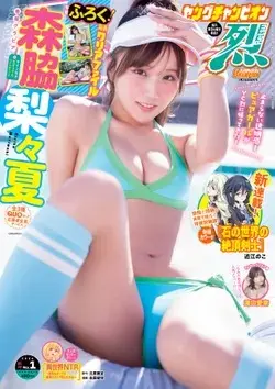 Magazine Monthly Young Champion Retsu (ヤングチャンピオン烈 (1/25号)) 