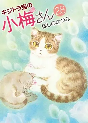 Manga Plum Crazy! Tales of A Tiger-Striped Cat (Kijitora Neko no Koume-san) vol.28 (キジトラ猫の小梅さん 28 (28巻))  / Hoshino Natsumi