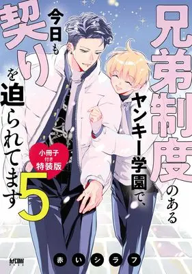 Special Edition Manga with Bonus Kyoudai Seido no aru Yankee Gakuen de, Kyou mo Chigiri wo Semararetemasu vol.5 (兄弟制度のあるヤンキー学園で、今日も契りを迫られてます小冊子付き特装版 5 (5))  / Akai Shirafu