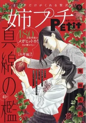 Magazine Ane kei PETIT comic (姉系プチコミック 2025年9月号) 