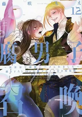 Manga appendix Fudanshi Shoukan vol.12 (特装版特典小冊子のみ)腐男子召喚～異世界で神獣にハメられました～(12) 特典小冊子)  / Fujisaki Moe