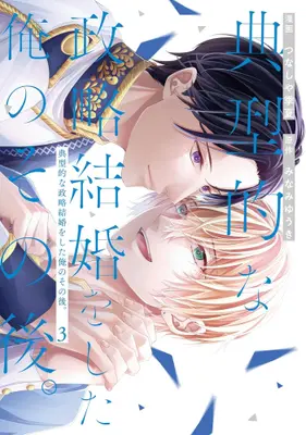 Manga Set Tenkeiteki na Seiryaku Kekkon wo Shita Ore no Sonogo. (Vol.1-3) (典型的な政略結婚をした俺のその後。)  / みなみゆうき & Tsunashiya Kikka