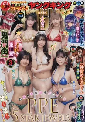 Magazine YOUNG KING (YOUNGKING 2026年 2/1 号 [雑誌]) 