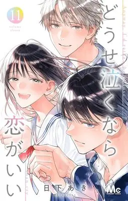 Manga Douse Naku nara Koi ga Ii vol.11 (どうせ泣くなら恋がいい 11 (マーガレットコミックス))  / Kusaka Aki