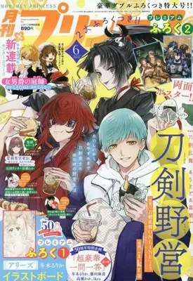 Magazine Princess (付録付)プリンセス 2025年6月号) 
