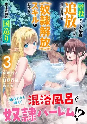 Manga Kabeyaku nado Fuyou to Tsuihousareta S-kyuu Boukensha, [Dorei Kaihou] Skill wo Kushishite Shijou Saikyou no Kunizukuri vol.3 (壁役など不要と追放されたS級冒険者、≪奴隷解放≫スキルを駆使して史上最強の国造り(3) (3) (REXコミックス))  / Hino Ikumi