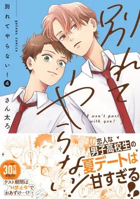 Manga Wakarete Yaranai! vol.4 (別れてやらない!(4) (4) (gateauコミックス))  / Santaro