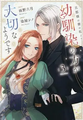 Manga Danna-sama wa Tsuma no Watashi yori Osananajimi no Hou ga Taisetsu na you desu vol.3 (旦那様は妻の私より幼馴染の方が大切なようです(3)(完))  / Someya Shino